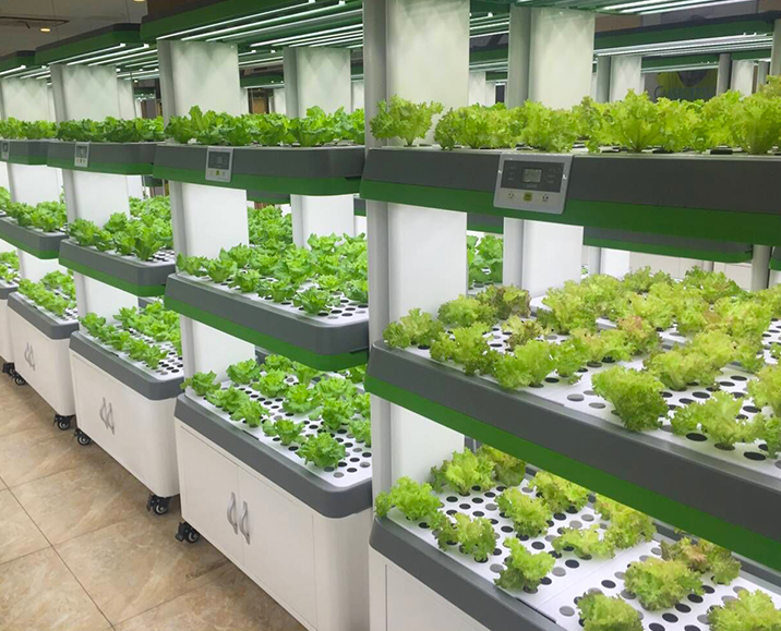 植物生長燈全光譜LED室內(nèi)花卉育苗多肉蔬菜溫室大棚補光燈